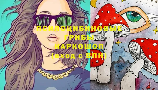 гидра Грязи