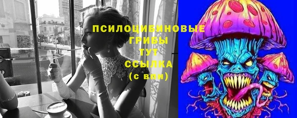 spice Алексин