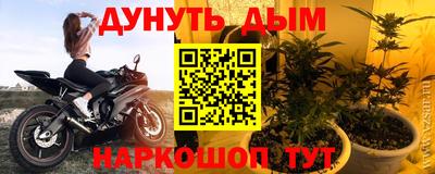 ALPHA PVP Кингисепп