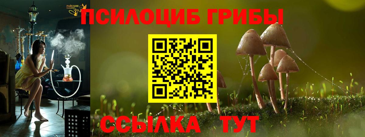 Джанкой  Псилоцибиновые грибы Magic Shrooms  Вход с VPN  Псилоцибиновые грибы GOLDEN TEACHER 